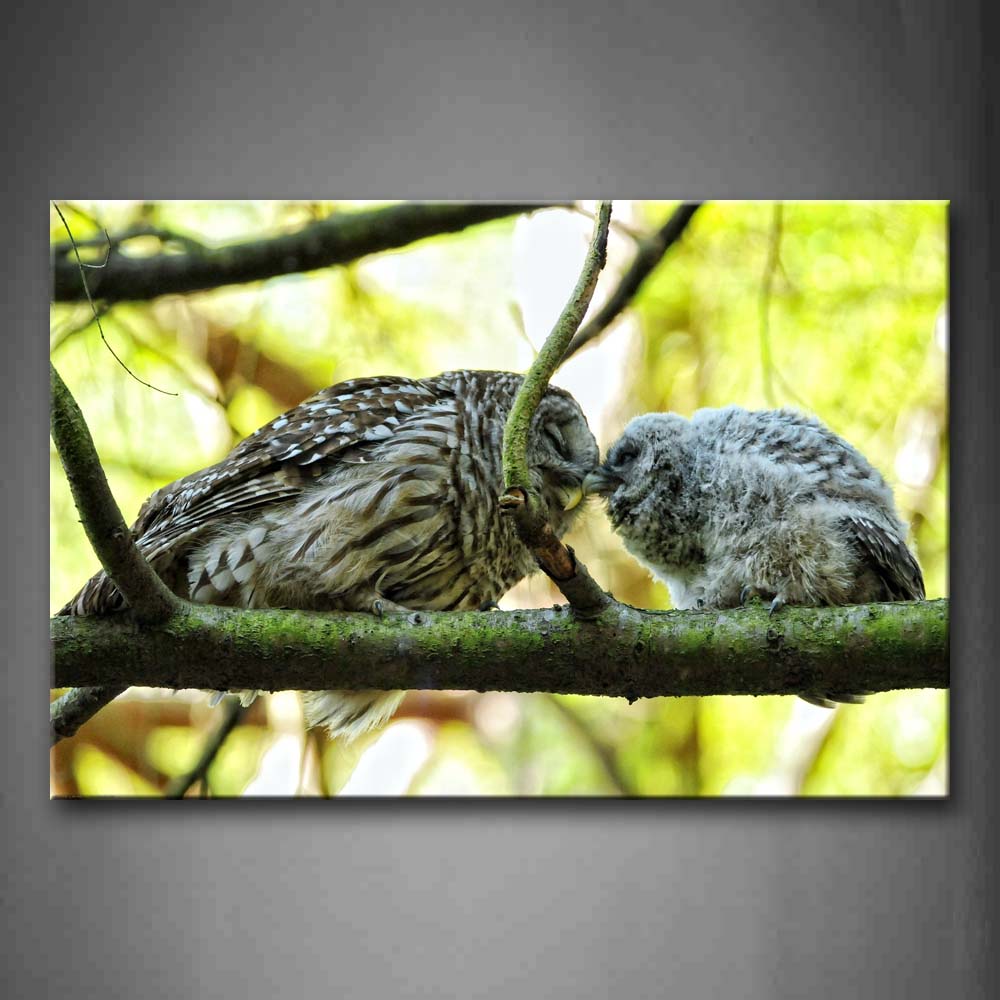 Two Owls Kiss On Green Branch Wall Art Painting Pictures Print On Canvas Animal The Picture For Home Modern Decoration 