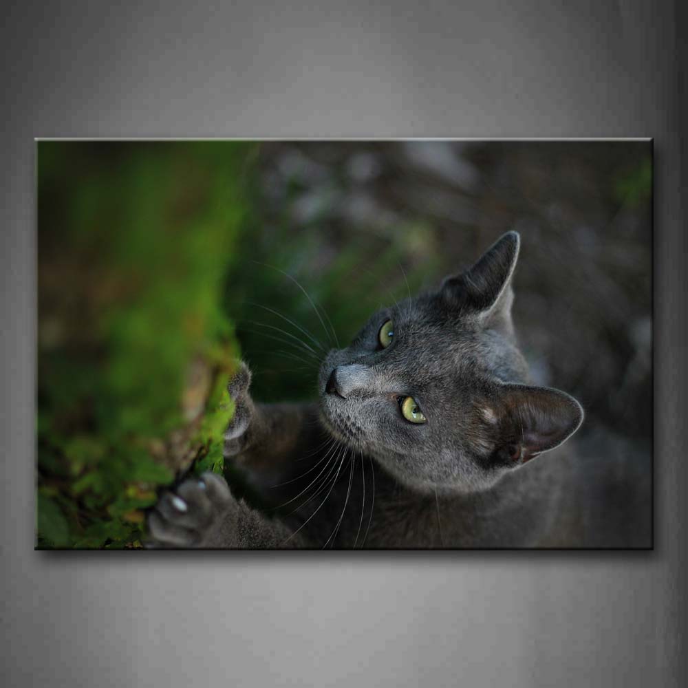 Gray Cat Stand On Grass Wall Art Painting Pictures Print On Canvas Animal The Picture For Home Modern Decoration 