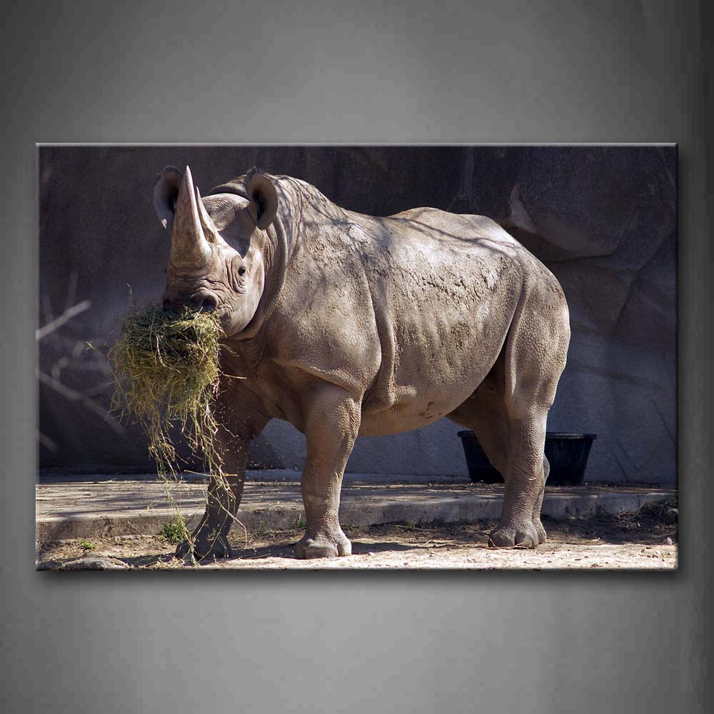 Rhino Stand On Floor Eat Grass  Wall Art Painting The Picture Print On Canvas Animal Pictures For Home Decor Decoration Gift 