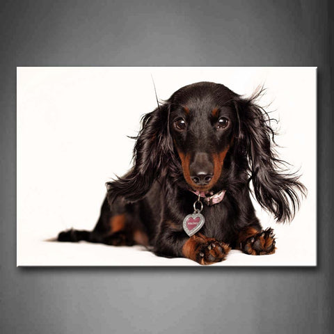 Black Dachshund Sit On Floor  Wall Art Painting Pictures Print On Canvas Animal The Picture For Home Modern Decoration 