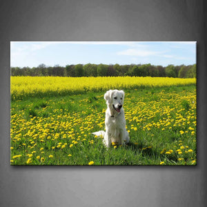 White Dog Sit On Grass With Yellow Flowers Wall Art Painting The Picture Print On Canvas Animal Pictures For Home Decor Decoration Gift 