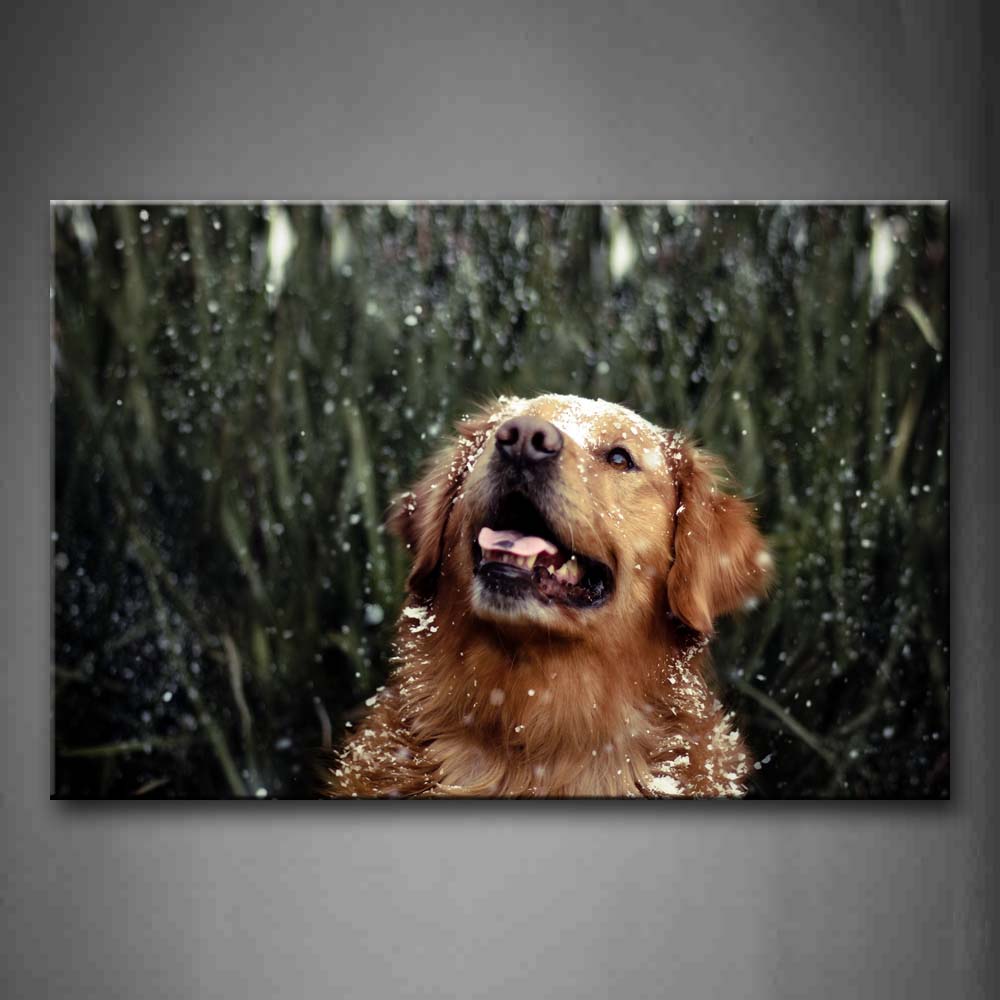 Yellow Dog Look With Mouth Open At Snowing Day Wall Art Painting Pictures Print On Canvas Animal The Picture For Home Modern Decoration 