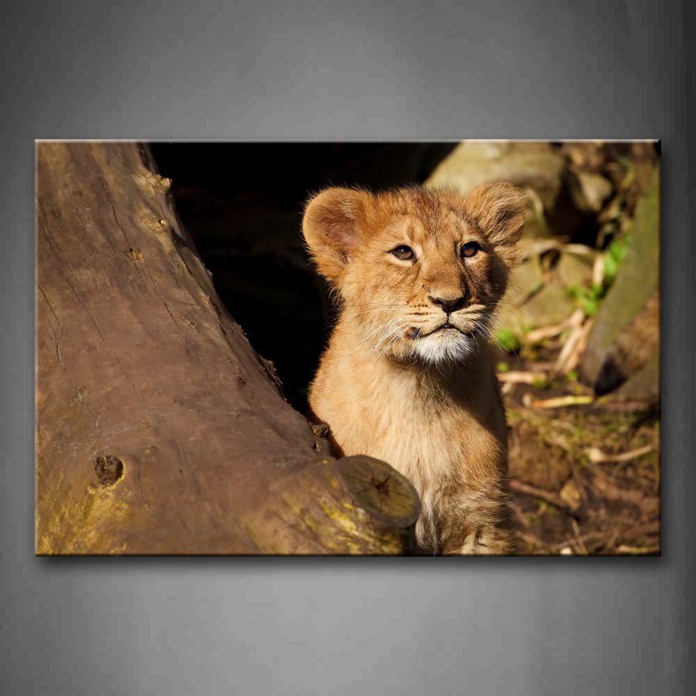 Little Lion Sit By Dry Wood Wall Art Painting The Picture Print On Canvas Animal Pictures For Home Decor Decoration Gift 