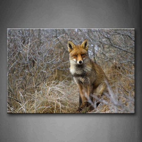 Yelllow Fox Stand On Forest Wall Art Painting The Picture Print On Canvas Animal Pictures For Home Decor Decoration Gift 