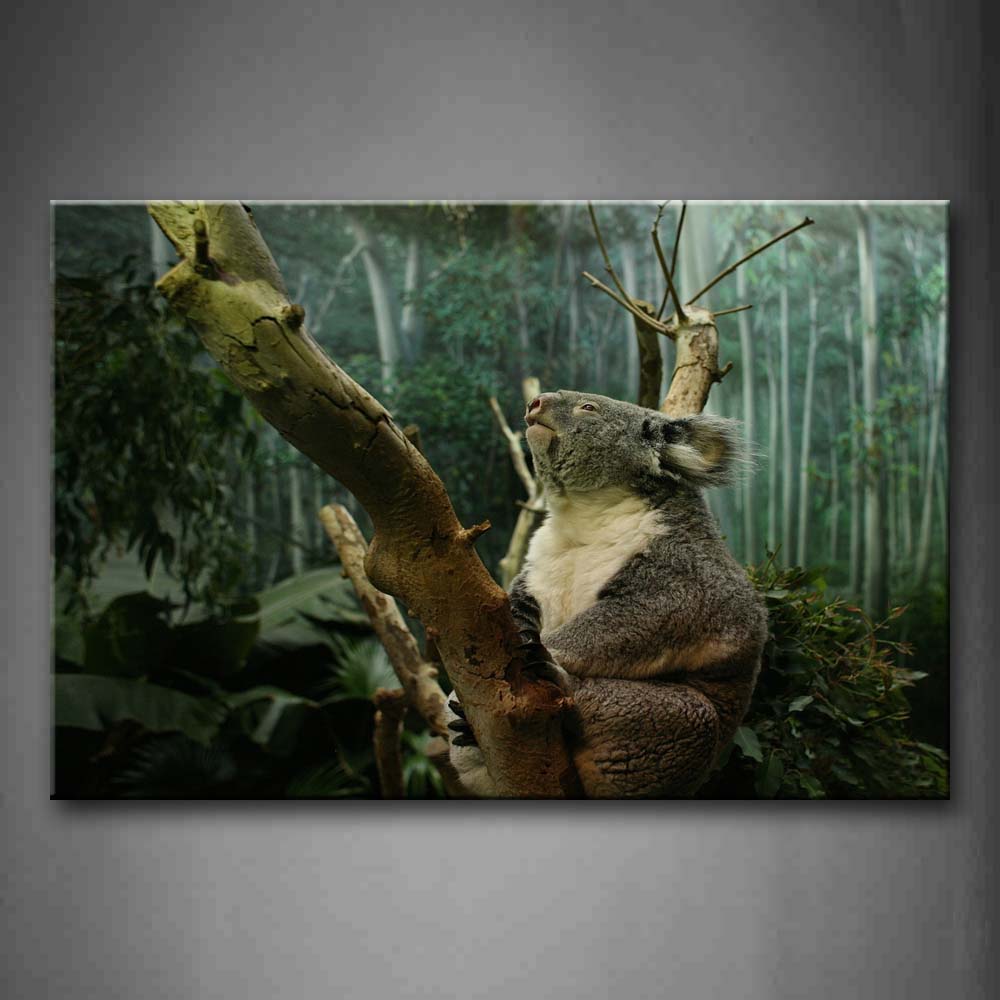 Koala Hug Tree In  The Forest Wall Art Painting Pictures Print On Canvas Animal The Picture For Home Modern Decoration 