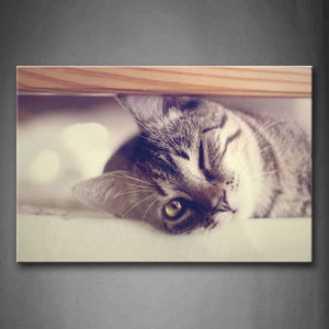 Gray Cat Lie Under Desk With One Eye Close Wall Art Painting The Picture Print On Canvas Animal Pictures For Home Decor Decoration Gift 