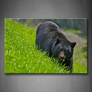 Black Bear Stand On Green Lawn  Wall Art Painting Pictures Print On Canvas Animal The Picture For Home Modern Decoration 