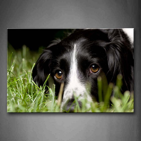 Black Dog Lie On Lawn  Wall Art Painting The Picture Print On Canvas Animal Pictures For Home Decor Decoration Gift 