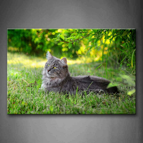 Gray Cat Lie On Grass Near Trees  Wall Art Painting The Picture Print On Canvas Animal Pictures For Home Decor Decoration Gift 