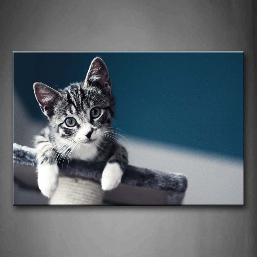 Cute Gray Cat Hang On Table  Wall Art Painting Pictures Print On Canvas Animal The Picture For Home Modern Decoration 