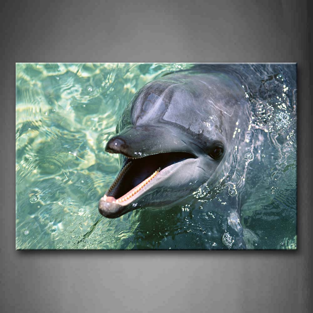 Dolphin Open Mouth In Water  Wall Art Painting Pictures Print On Canvas Animal The Picture For Home Modern Decoration 