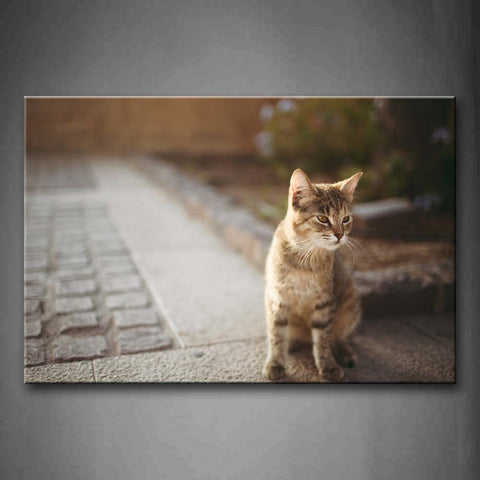 Yellow Cat Stand On Road  Wall Art Painting Pictures Print On Canvas Animal The Picture For Home Modern Decoration 