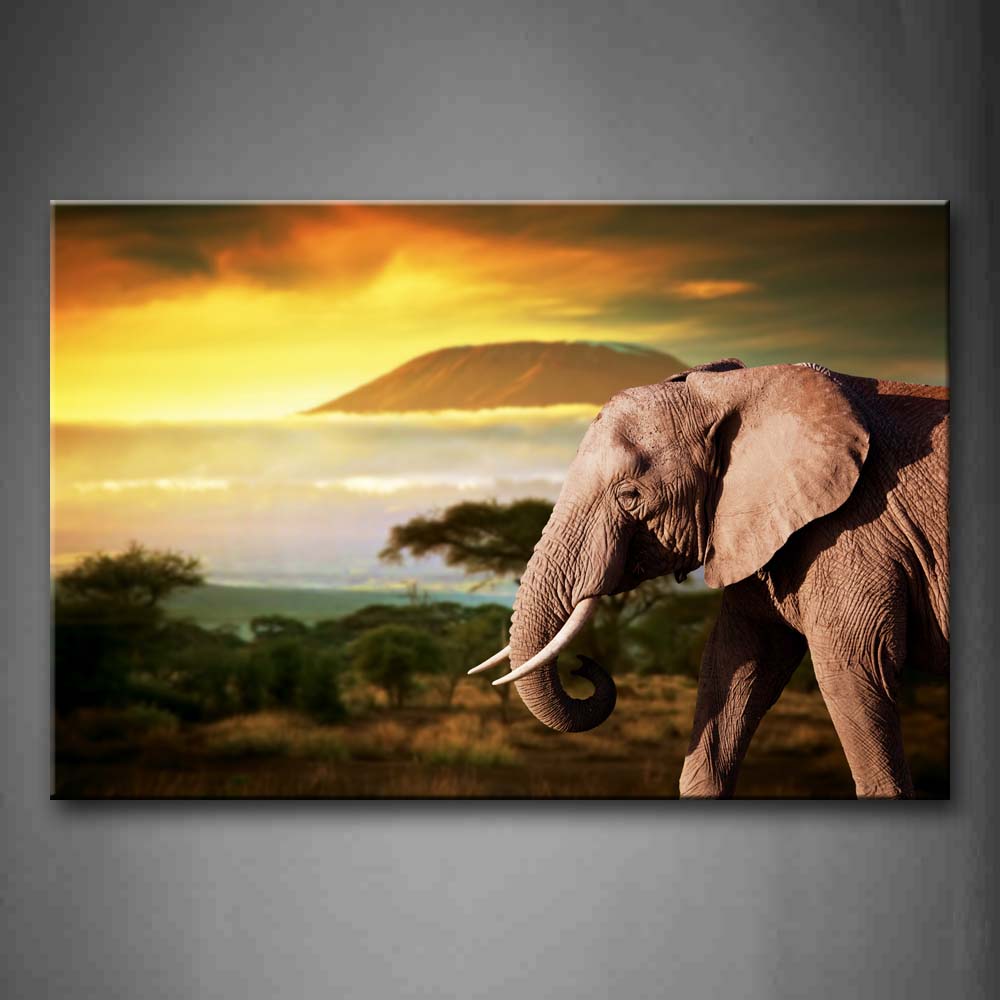 Brown Elephant At Seaside Near Trees And Mountain Wall Art Painting The Picture Print On Canvas Animal Pictures For Home Decor Decoration Gift 