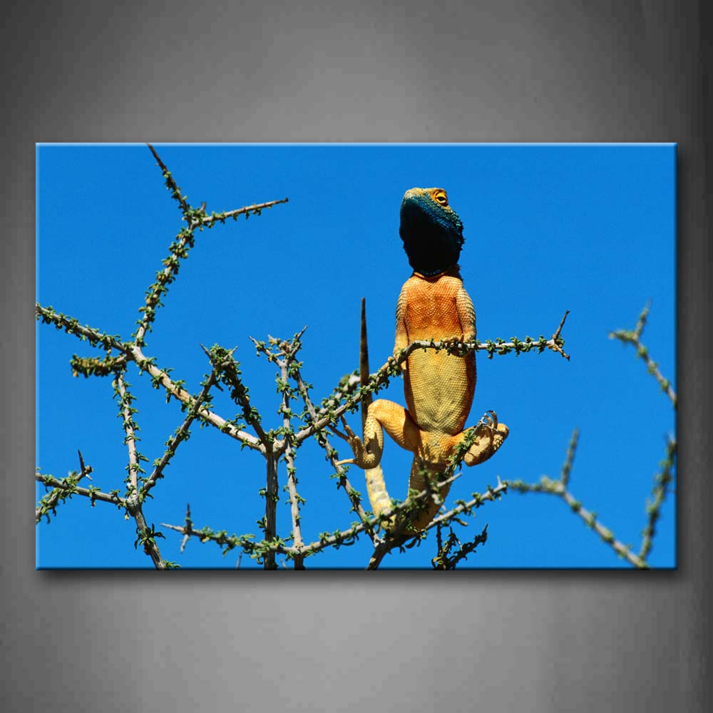 Blue Yellow Chameleon Stay In Branch Wall Art Painting The Picture Print On Canvas Animal Pictures For Home Decor Decoration Gift 