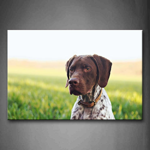 Brown Dog Stay On Grass And Flowers Wall Art Painting The Picture Print On Canvas Animal Pictures For Home Decor Decoration Gift 