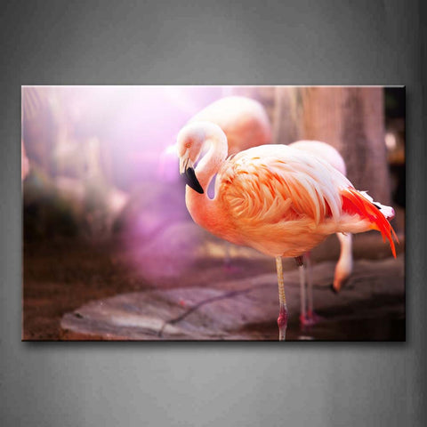 Brown Flamingo Stand On Stone Wall Art Painting The Picture Print On Canvas Animal Pictures For Home Decor Decoration Gift 