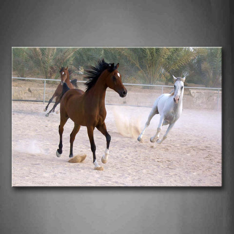 Two Brown Horses And A White Horses Run On Sand Wall Art Painting Pictures Print On Canvas Animal The Picture For Home Modern Decoration 