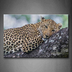 Leopard Lie On Rock Wall Art Painting Pictures Print On Canvas Animal The Picture For Home Modern Decoration 