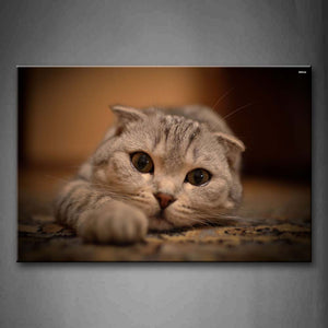 Cute Little Cat Lie On Floor Wall Art Painting Pictures Print On Canvas Animal The Picture For Home Modern Decoration 