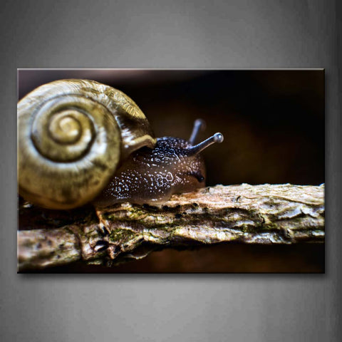 Snail Stay On Branch Wall Art Painting Pictures Print On Canvas Animal The Picture For Home Modern Decoration 