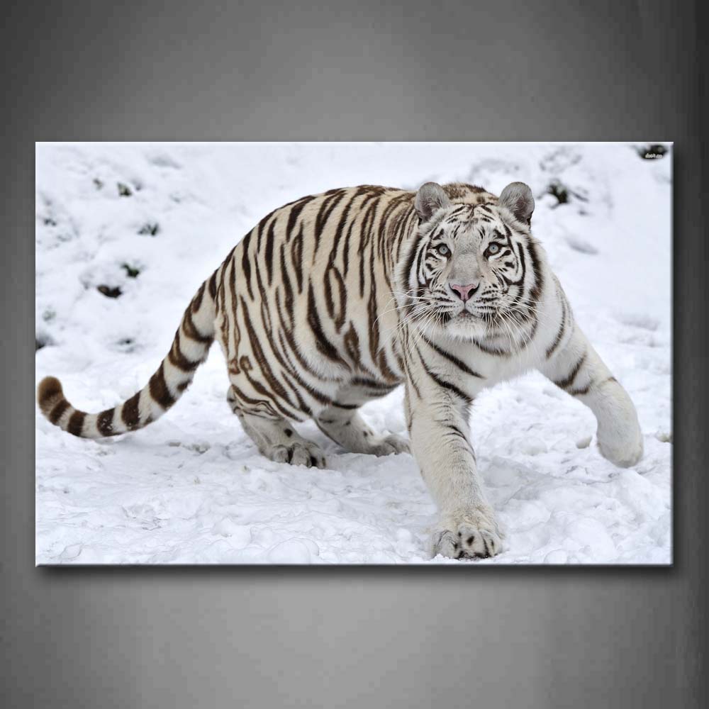 White Tiger Stand On Snowfield Wall Art Painting The Picture Print On Canvas Animal Pictures For Home Decor Decoration Gift 