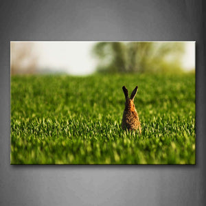 Brown Rabbit Sit On Grass Wall Art Painting Pictures Print On Canvas Animal The Picture For Home Modern Decoration 