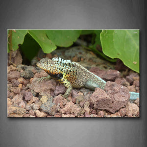 Lizard Stay On Rocks Near Leaves  Wall Art Painting Pictures Print On Canvas Animal The Picture For Home Modern Decoration 