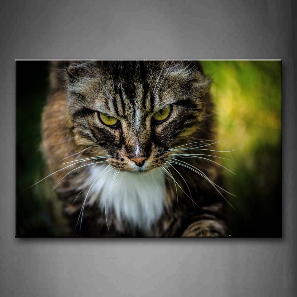 Brown And White Cat  Wall Art Painting Pictures Print On Canvas Animal The Picture For Home Modern Decoration 