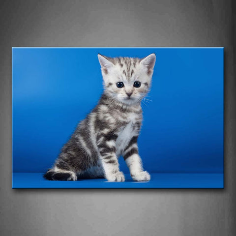 Cute Gray Cat At Blue Floor And Background Wall Art Painting The Picture Print On Canvas Animal Pictures For Home Decor Decoration Gift 