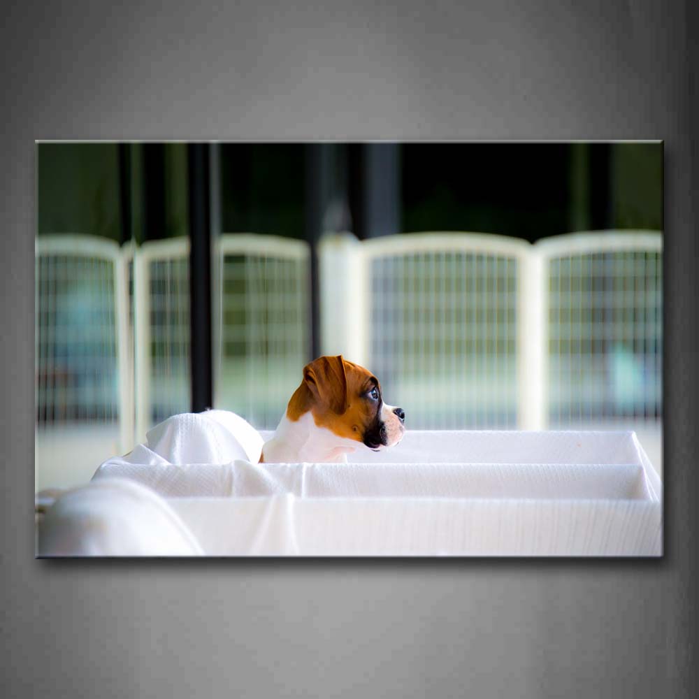 Yellow Dog Stay On Little Bed Wall Art Painting Pictures Print On Canvas Animal The Picture For Home Modern Decoration 