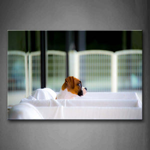 Yellow Dog Stay On Little Bed Wall Art Painting Pictures Print On Canvas Animal The Picture For Home Modern Decoration 