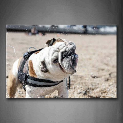 Bulldog Stand On Sandland Wall Art Painting Pictures Print On Canvas Animal The Picture For Home Modern Decoration 