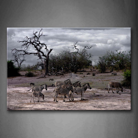 Zebras Walk On Floor Near Dry Tree Wall Art Painting Pictures Print On Canvas Animal The Picture For Home Modern Decoration 