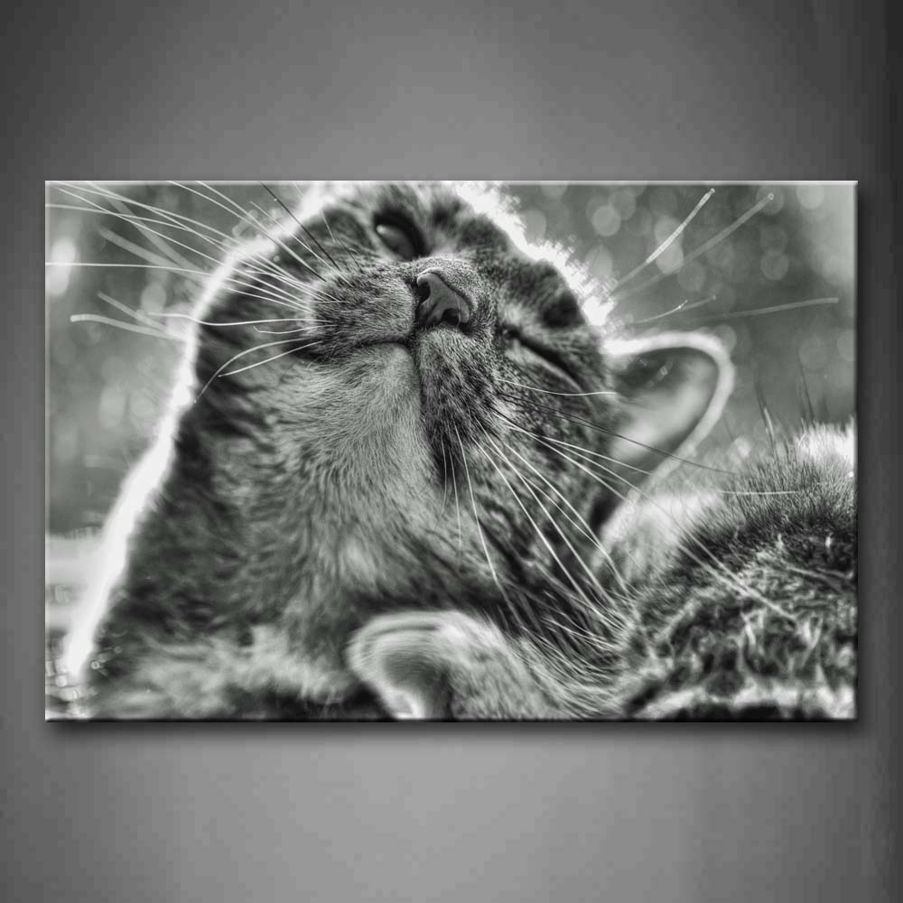 Gray Cat Close Eyes  Wall Art Painting The Picture Print On Canvas Animal Pictures For Home Decor Decoration Gift 