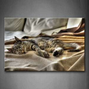 Cute Cat Sleep On Bed  Wall Art Painting Pictures Print On Canvas Animal The Picture For Home Modern Decoration 