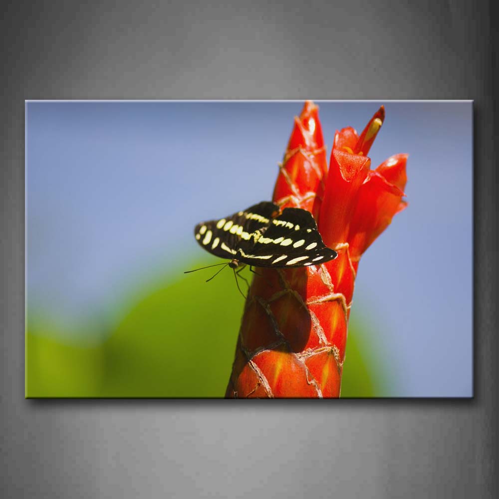 Black Butterfly Stay On Red Flower  Wall Art Painting The Picture Print On Canvas Animal Pictures For Home Decor Decoration Gift 