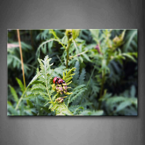 Two Ladybug Stay On Leaves Wall Art Painting Pictures Print On Canvas Animal The Picture For Home Modern Decoration 