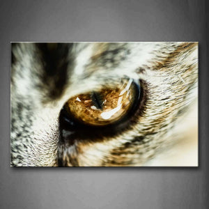 Bright Yellow Eye Wall Art Painting The Picture Print On Canvas Animal Pictures For Home Decor Decoration Gift 