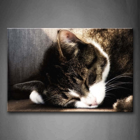 Black Cat Sleep On Floor Wall Art Painting Pictures Print On Canvas Animal The Picture For Home Modern Decoration 