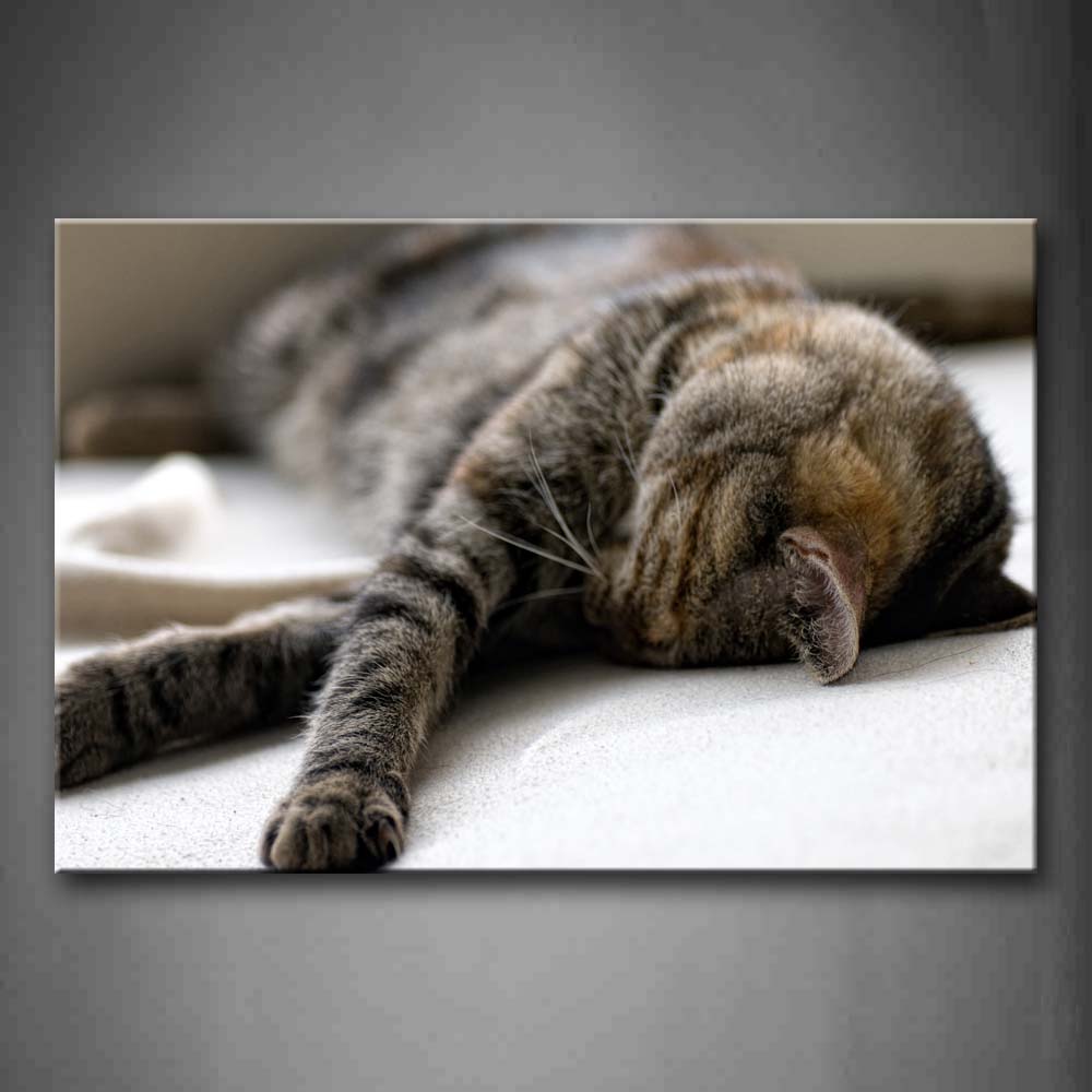 Yellow Cat Sleep On Floor Wall Art Painting The Picture Print On Canvas Animal Pictures For Home Decor Decoration Gift 