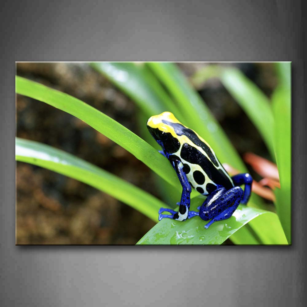 Blue Poison Dart Frog Stay On Leaf Wall Art Painting Pictures Print On Canvas Animal The Picture For Home Modern Decoration 