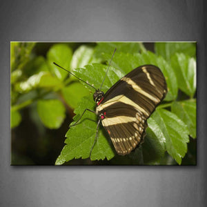 Yellow Black Butterfly Stay On Leaf Wall Art Painting Pictures Print On Canvas Animal The Picture For Home Modern Decoration 