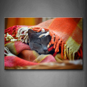 Gray Cat Sleep On Bed Covered Quilt Wall Art Painting The Picture Print On Canvas Animal Pictures For Home Decor Decoration Gift 