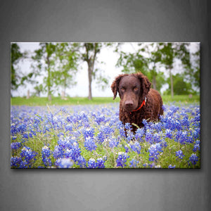 Brown Dog Stand Among Blue Flowers Wall Art Painting The Picture Print On Canvas Animal Pictures For Home Decor Decoration Gift 