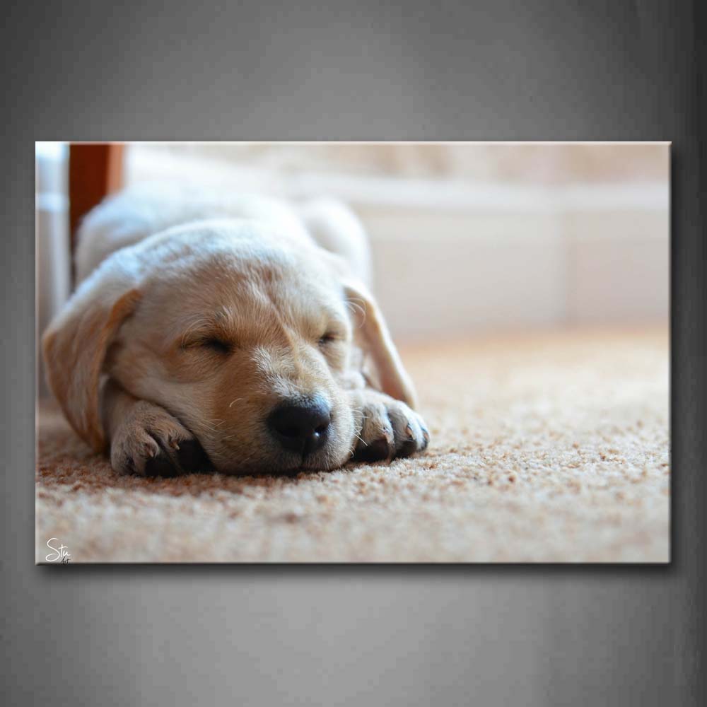 White Dog Sleep On Floor  Wall Art Painting The Picture Print On Canvas Animal Pictures For Home Decor Decoration Gift 