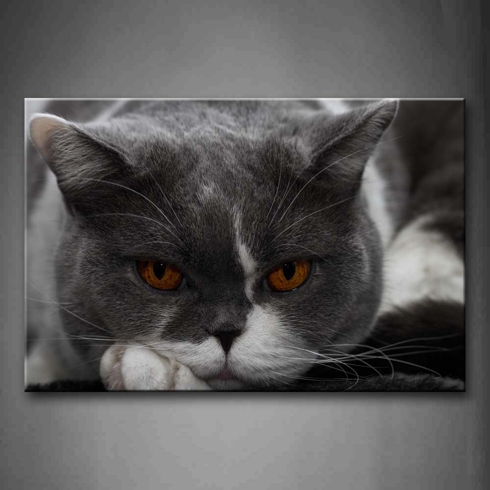 Gray Cat With Yellow Eyes Wall Art Painting Pictures Print On Canvas Animal The Picture For Home Modern Decoration 