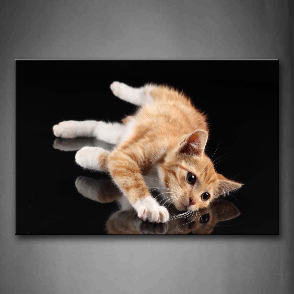 Yellow Cat On Black Floor Wall Art Painting Pictures Print On Canvas Animal The Picture For Home Modern Decoration 