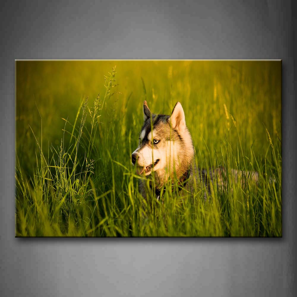 Husky Stand On High Grass Open Mouth Wall Art Painting The Picture Print On Canvas Animal Pictures For Home Decor Decoration Gift 