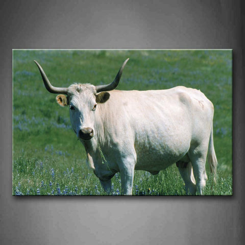 White Cow Stand On Grass Wall Art Painting Pictures Print On Canvas Animal The Picture For Home Modern Decoration 