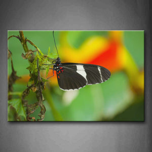 Black Butterfly Stay On Leaves Wall Art Painting The Picture Print On Canvas Animal Pictures For Home Decor Decoration Gift 